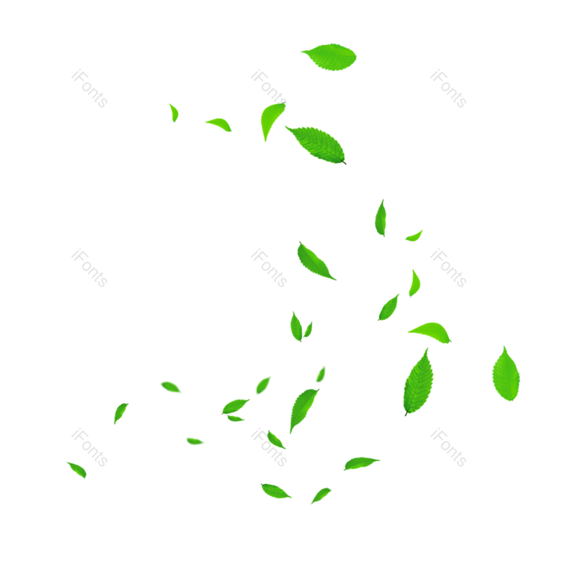 叶子图片,插画元素,绿色元素PNG,插画素材免抠素材